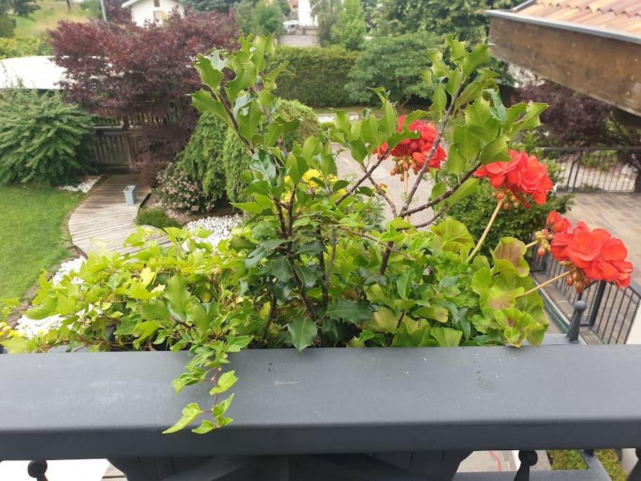 Appartement Mansarda Con Terrazzo E Giardino Altopiano Di Pine *